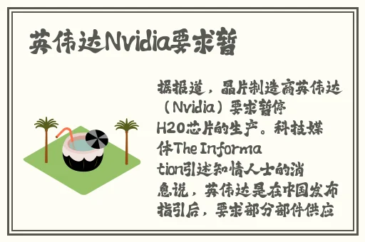 小猪视频在线观看下载免费